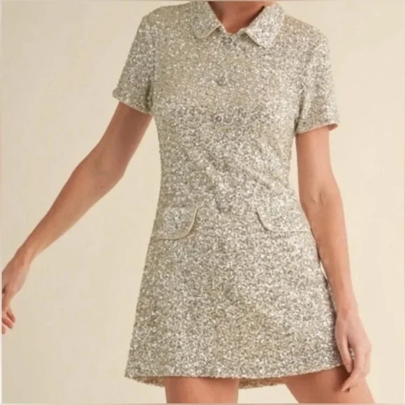 Anthropologie Silver Sequin Mini Dress - Picture 2 of 2